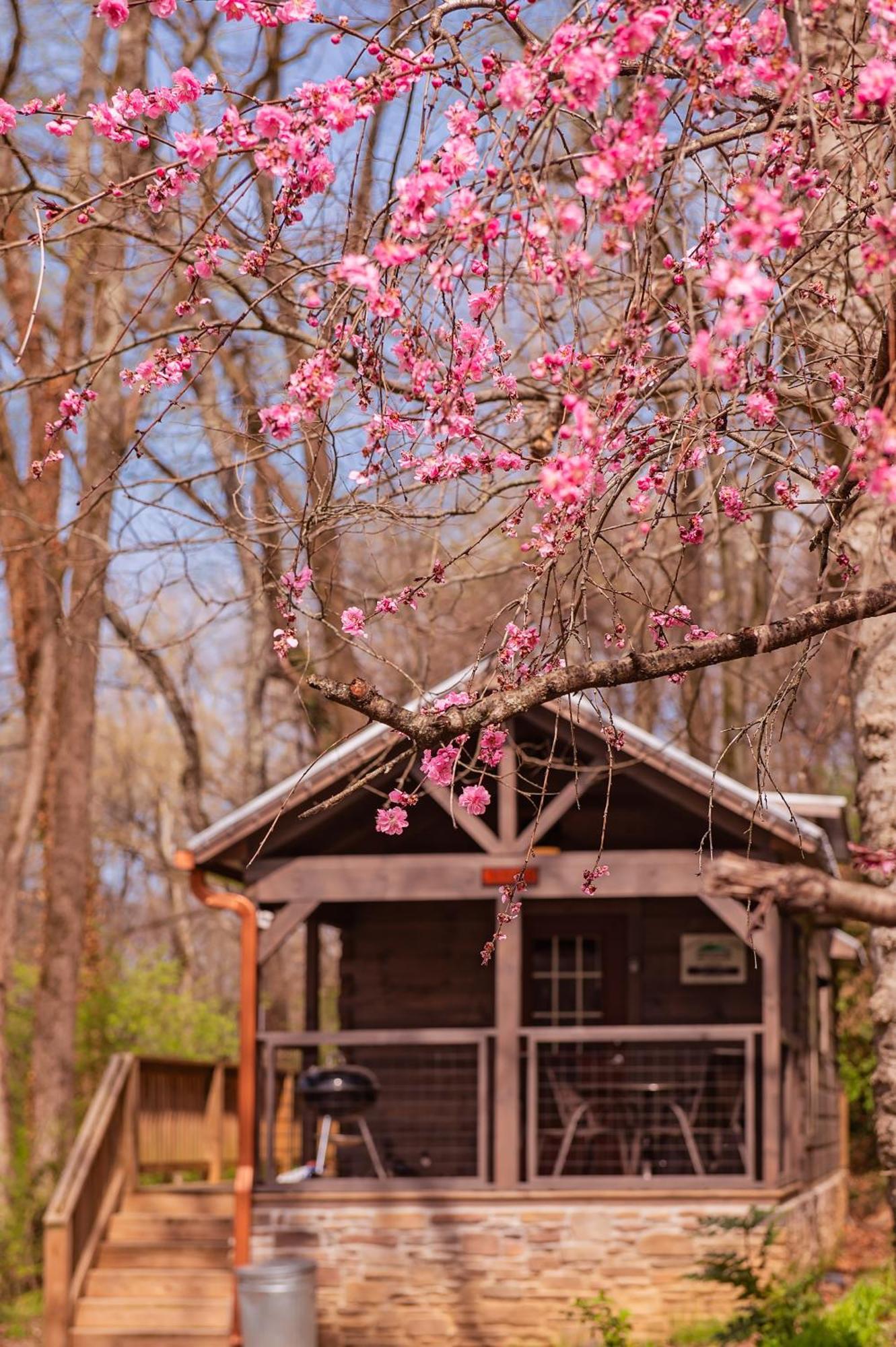 Ryon Tiny Home Cabin City-Side Rustic Retreat チャタヌーガ エクステリア 写真